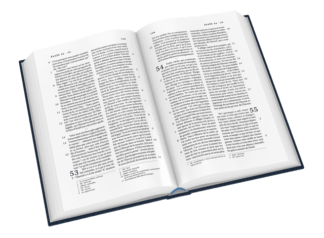 image du produit Bible Darby format standard, souple bleu