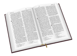 image du produit Bible Darby Révisée format standard, rigide brun-rouge
