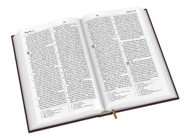 image du produit Bible Darby Révisée format standard, rigide brun-rouge