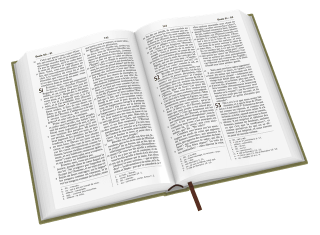 image du produit Bible Darby Révisée format compact, rigide velours vert