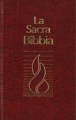 image du produit Bible, italien, cartonnée, Nuovo Riveduta
