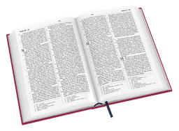 image du produit Bible Darby Révisée format standard, rigide velours rouge