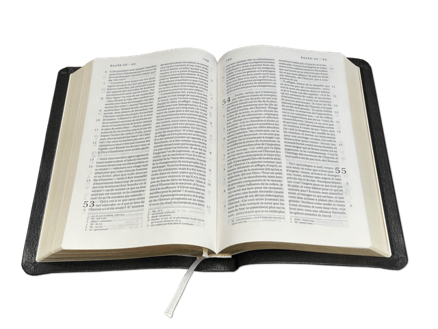 image du produit Bible Darby format standard, cuir noir