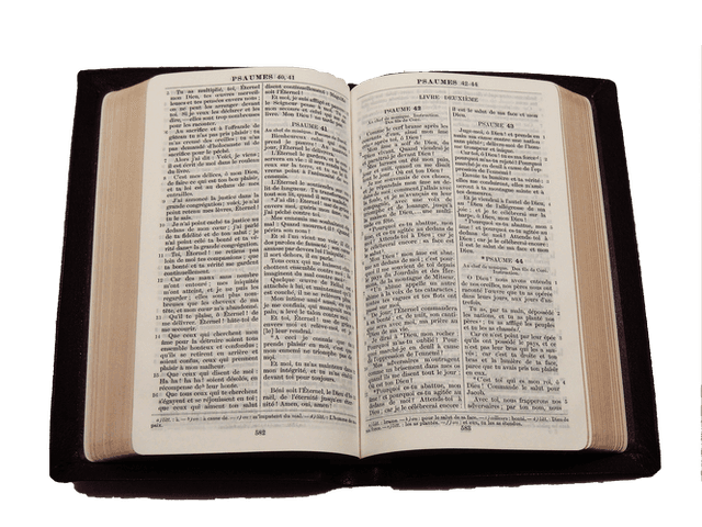 image du produit Bible cuir grenat, petit format, ancienne prés.