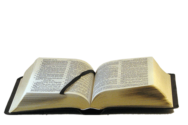 image du produit Bible simili, petit format, version J.N. Darby, anglais