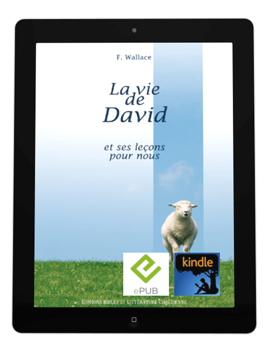image du produit La vie de David et ses leçons pour nous -eBook