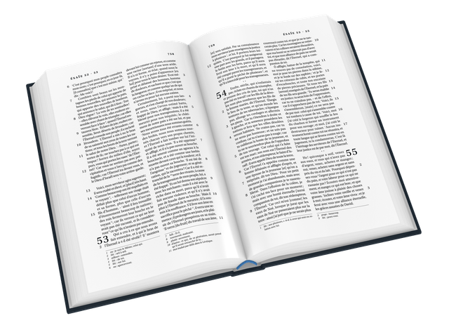 image du produit Bible Darby grand format, souple bleu