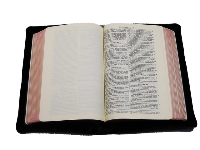 image du produit Bible Darby cuir noir, interfoliée à rebords, format moyen, ancienne prés.