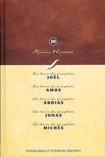 image du produit Méditations (Vol. 10) sur Joël à Michée