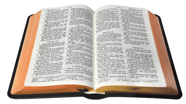 image du produit Bible cuir, petit format, version J.N. Darby, anglais