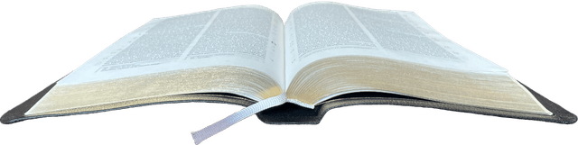 image du produit Bible Darby révisée grandes marges, cuir noir, tranche or